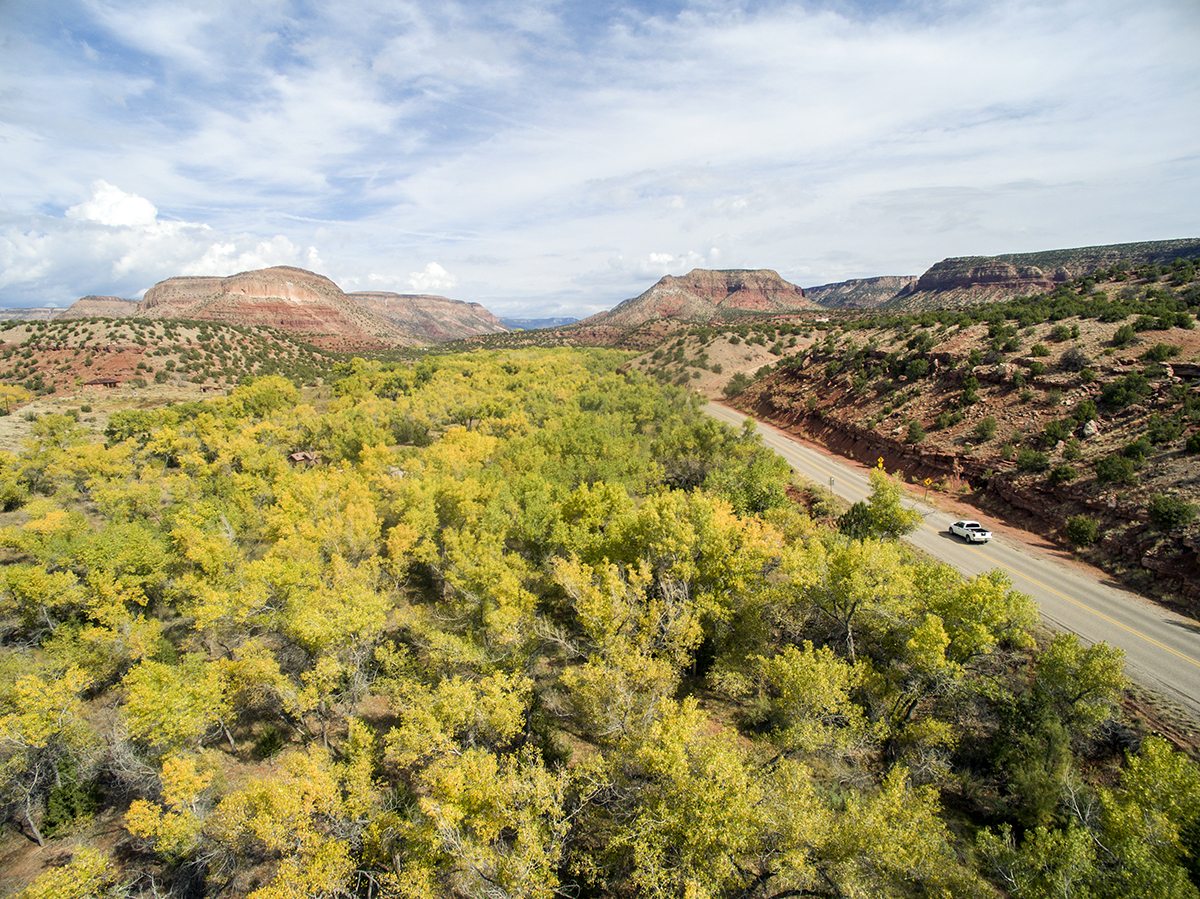 Gallery Jemez Springs